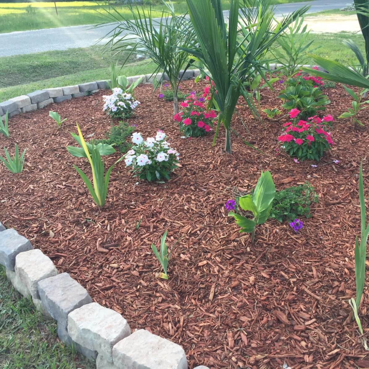 Image 19 of our new RV park in Biloxi | Allure RV Park