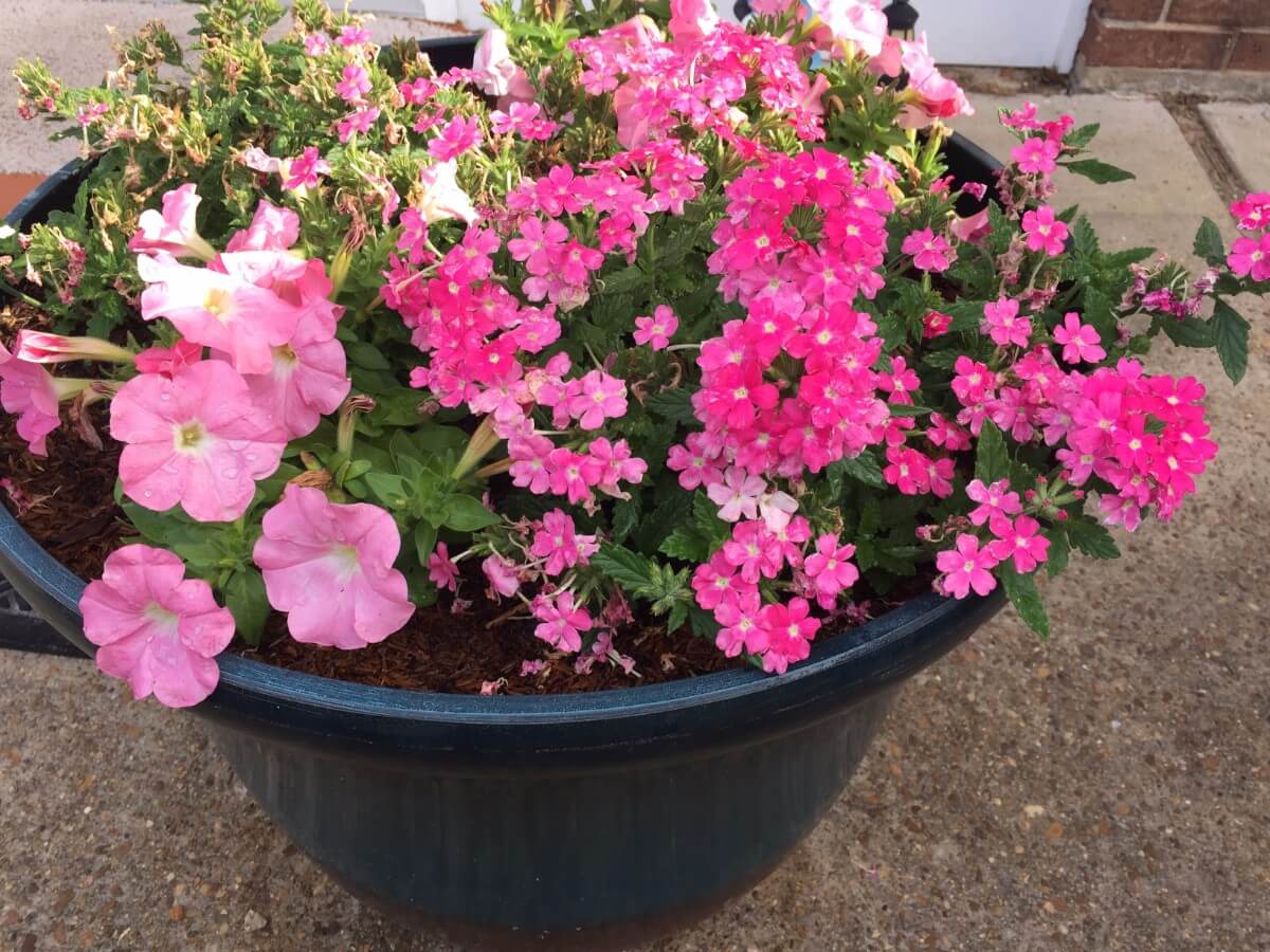 Image 21 of our new RV park in Biloxi | Allure RV Park