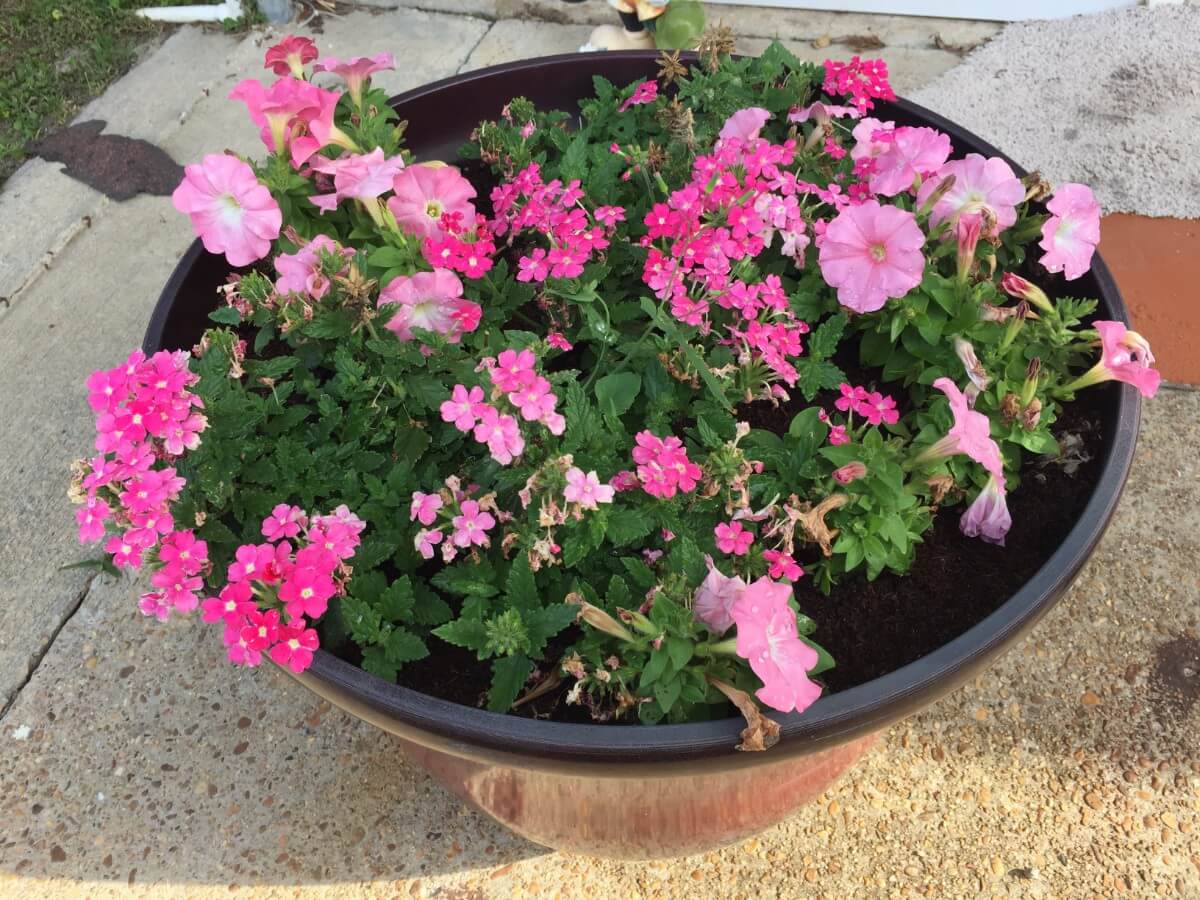 Image 103 of our new RV park in Biloxi | Allure RV Park