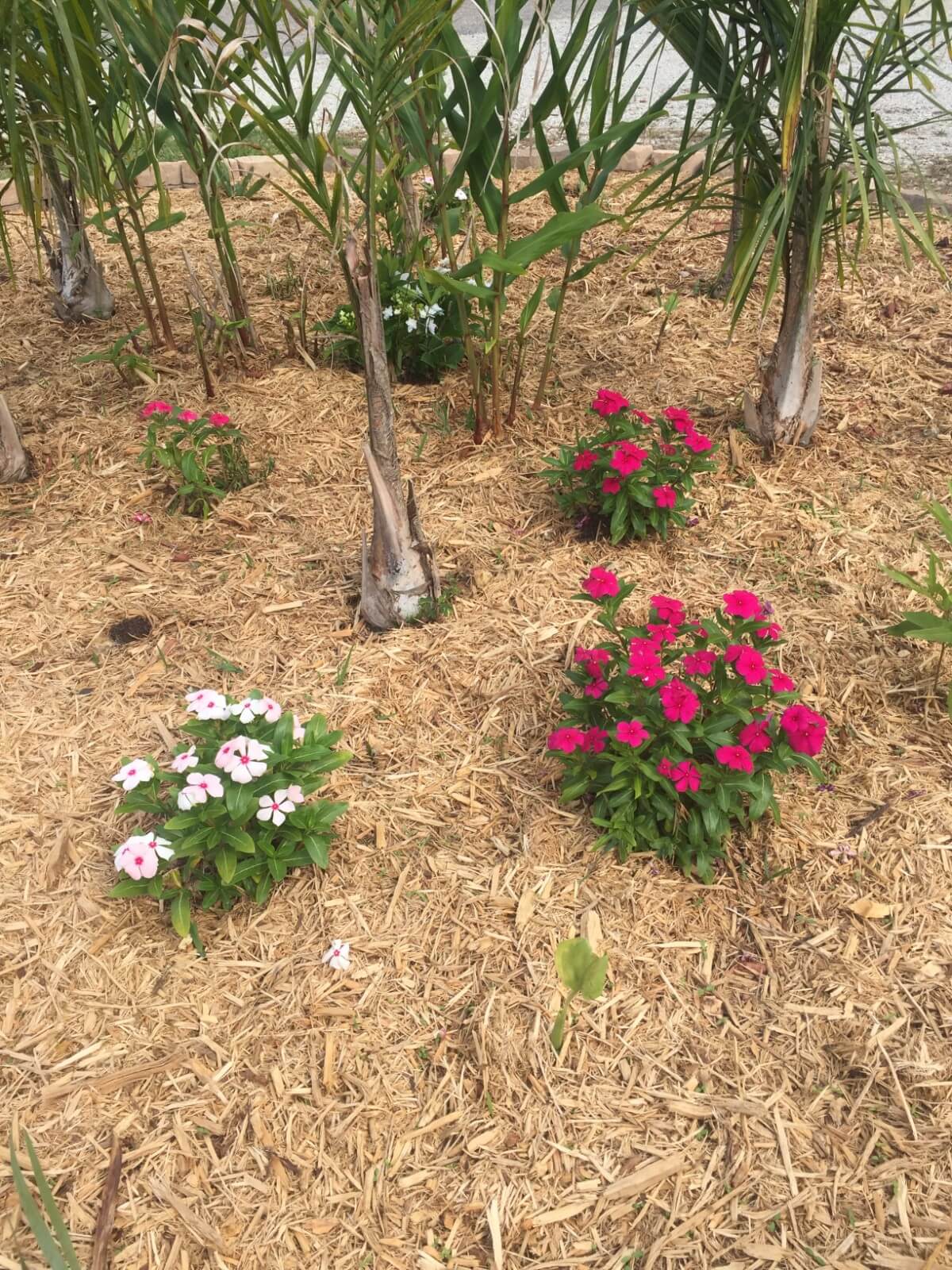 Image 50 of our new RV park in Biloxi | Allure RV Park