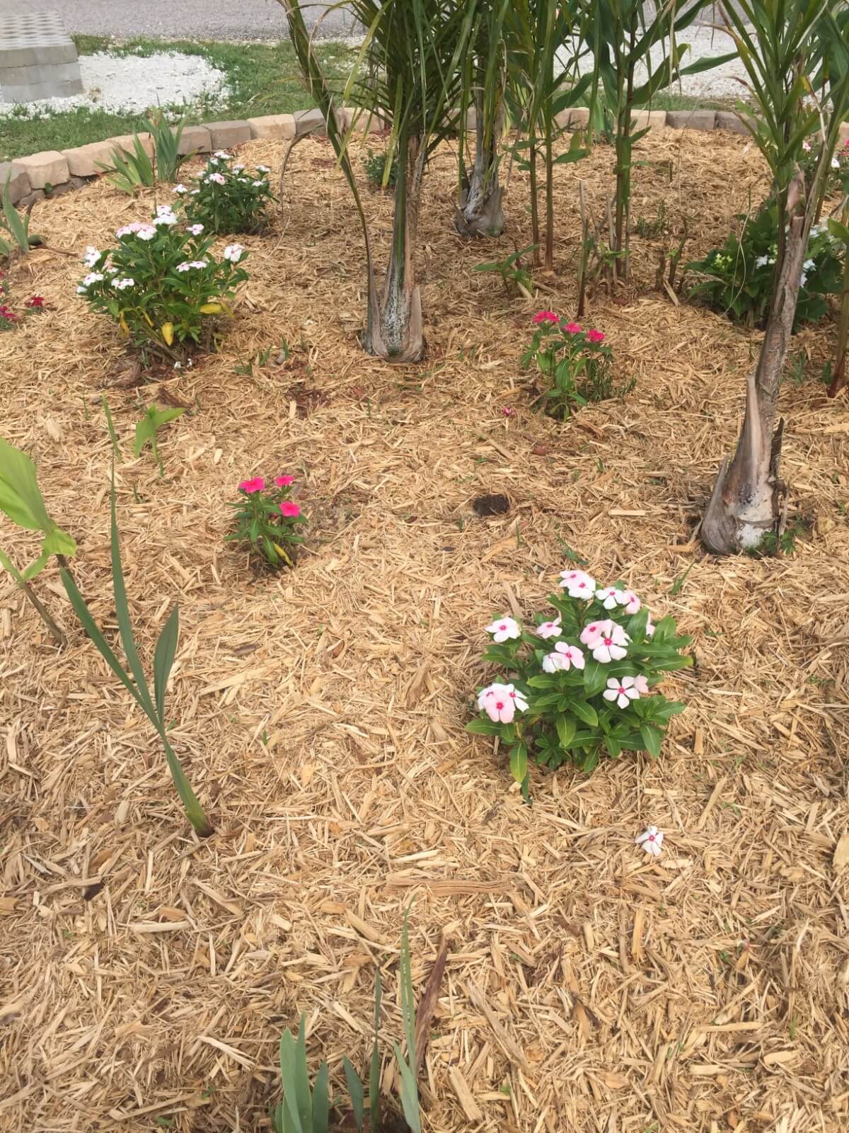 Image 113 of our new RV park in Biloxi | Allure RV Park