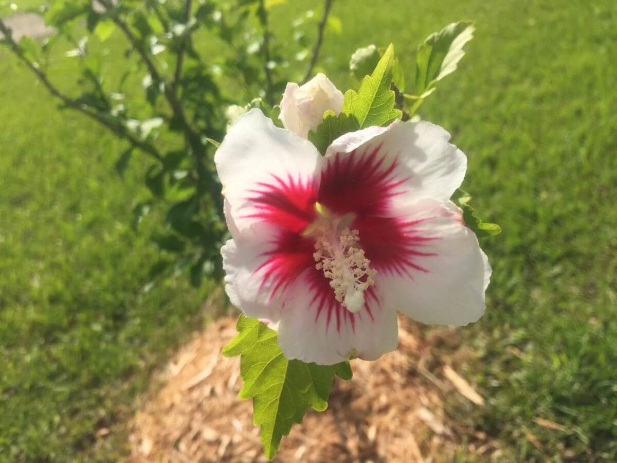 Image 124 of our new RV park in Biloxi | Allure RV Park