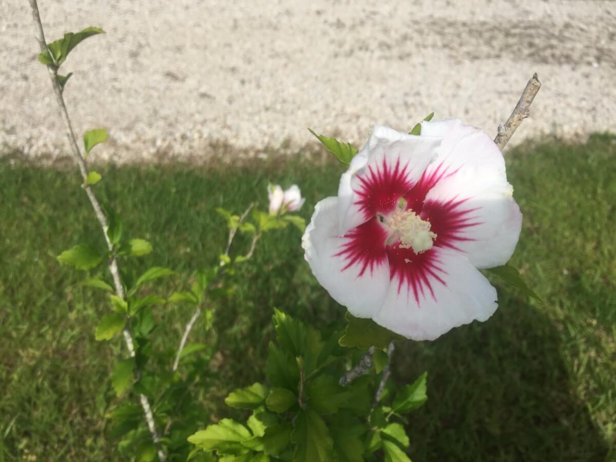 Image 93 of our new RV park in Biloxi | Allure RV Park