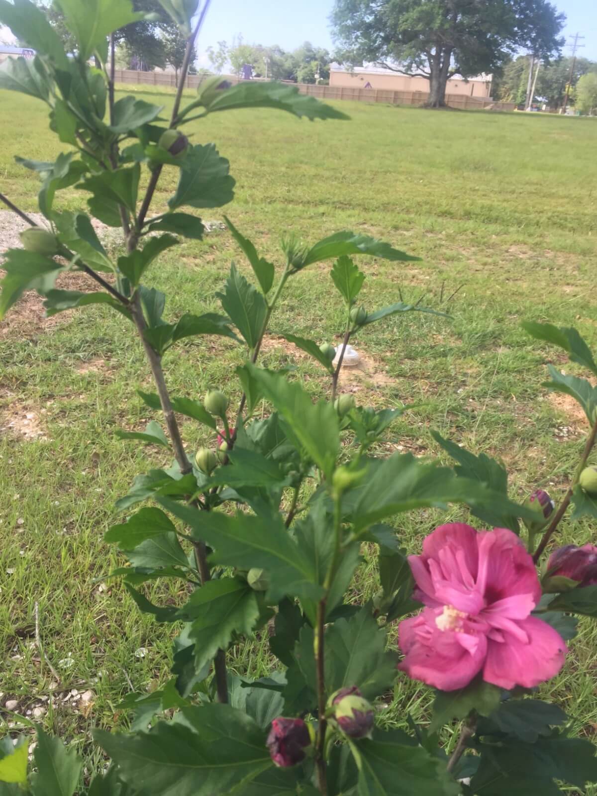 Image 3 of our new RV park in Biloxi | Allure RV Park