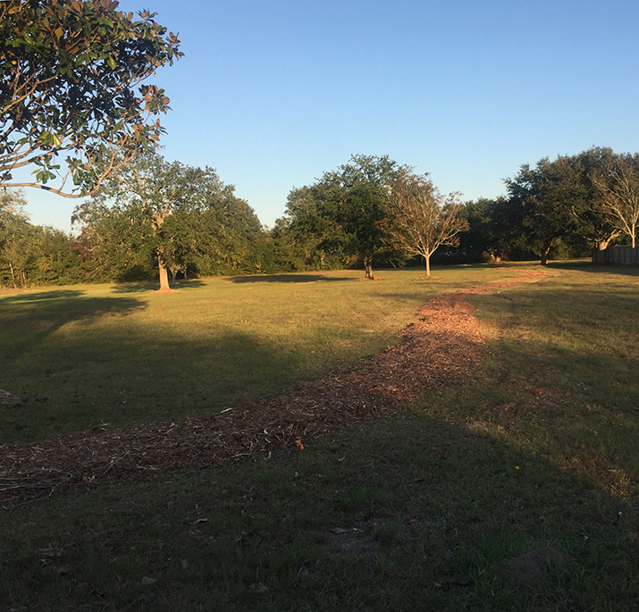 Image 79 of our new RV park in Biloxi | Allure RV Park