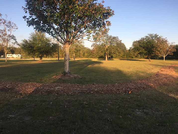 Image 98 of our new RV park in Biloxi | Allure RV Park