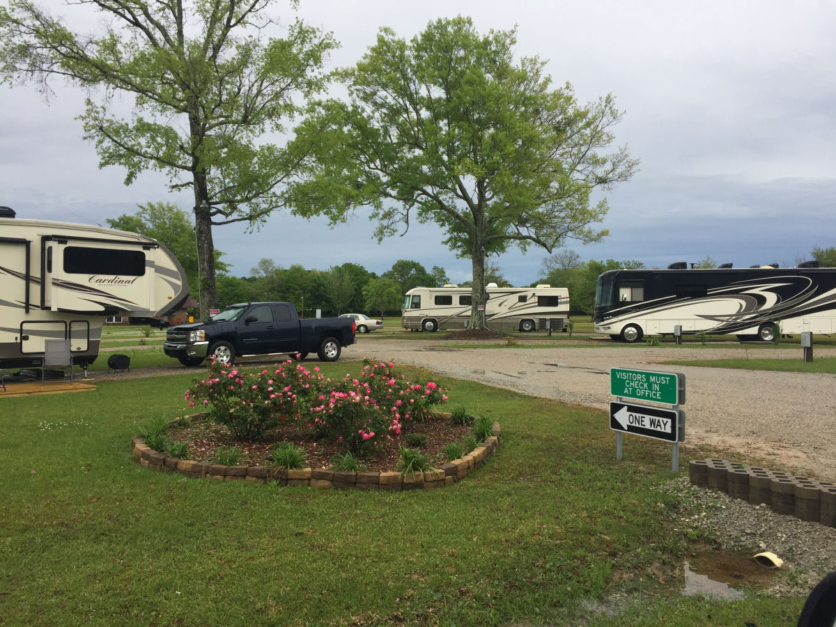 Image 43 of our new RV park in Biloxi | Allure RV Park
