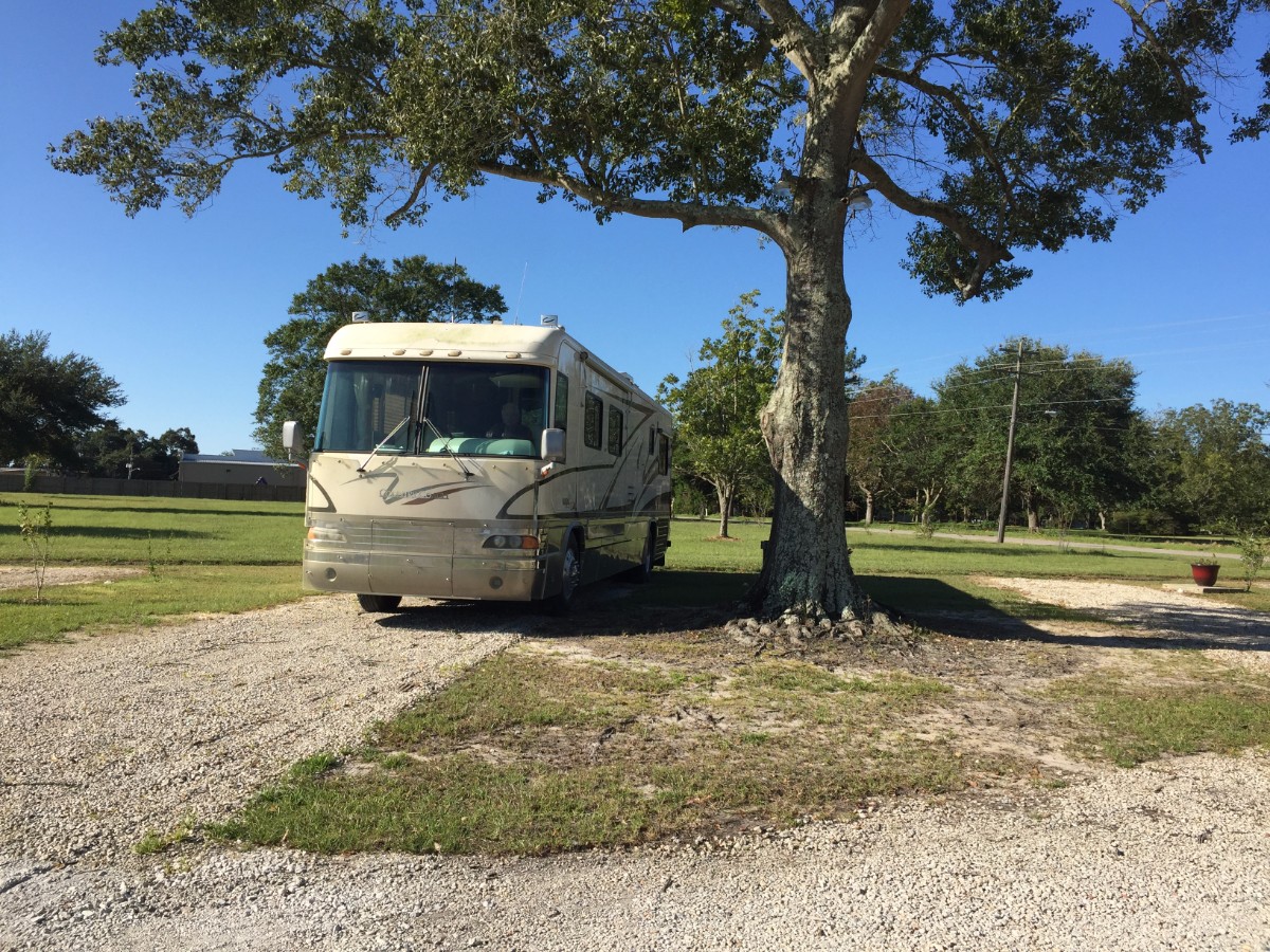 Image 91 of our new RV park in Biloxi | Allure RV Park