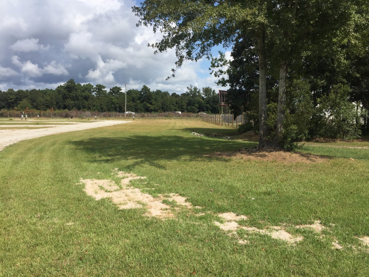 Image 117 of our new RV park in Biloxi | Allure RV Park